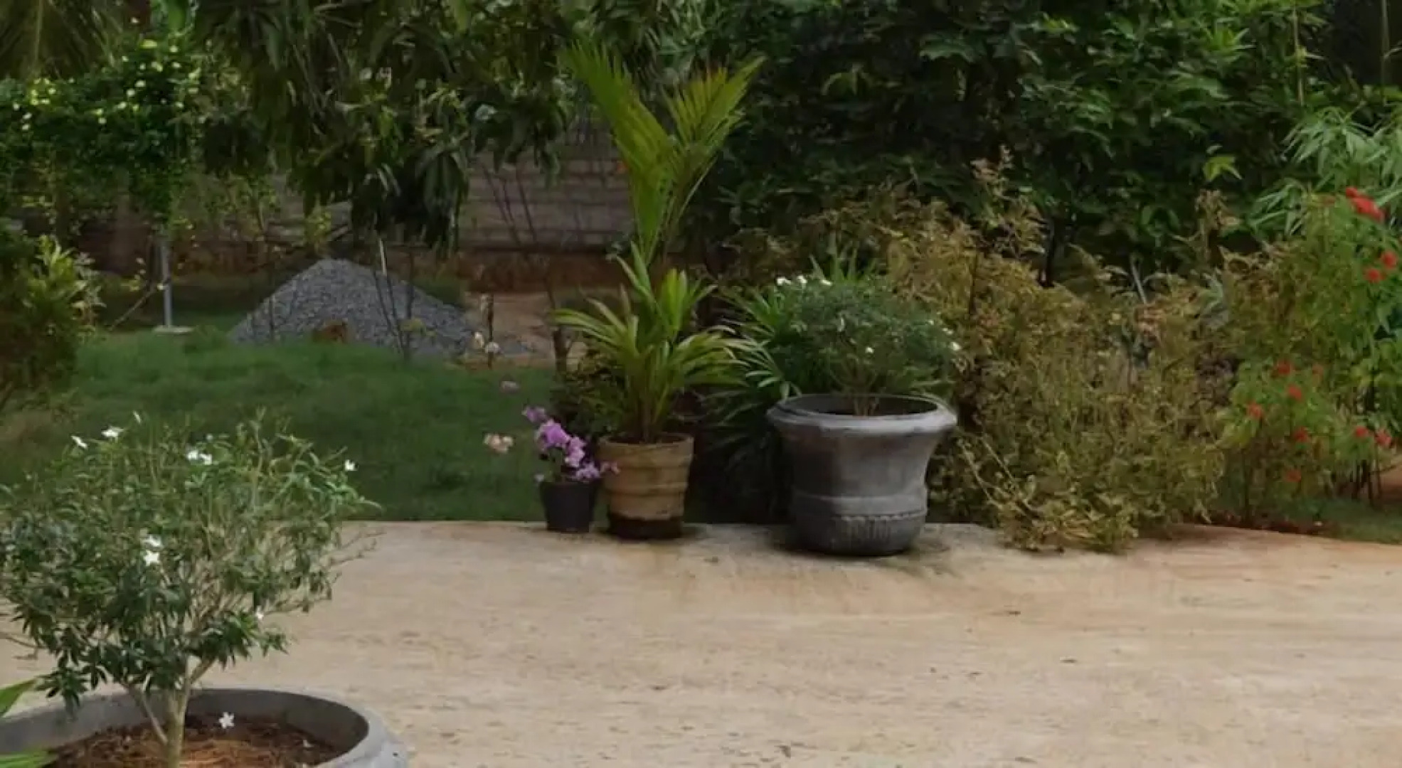 The Coconut Garden Hotel & Restaurant