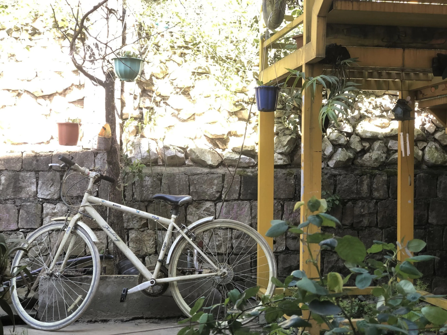 Saigonese Trekking House - Hostel