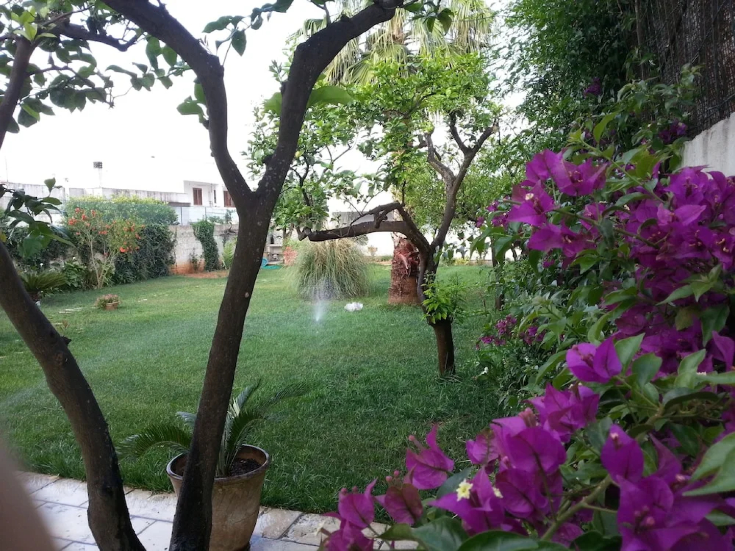 Alma Terra Salento B&B