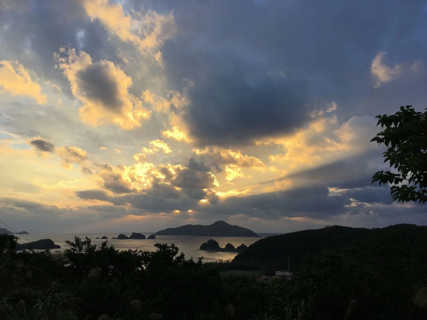 ZAMAMIA International Guesthouse - Hostel