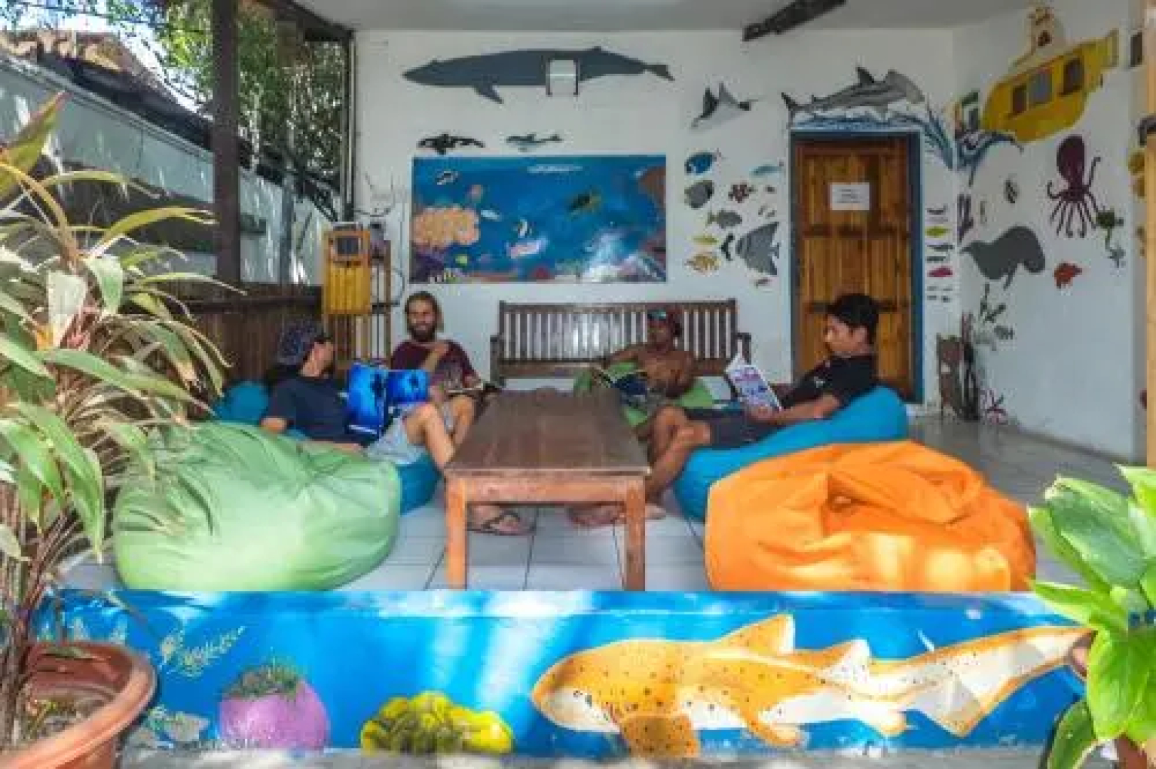 Timor Backpackers