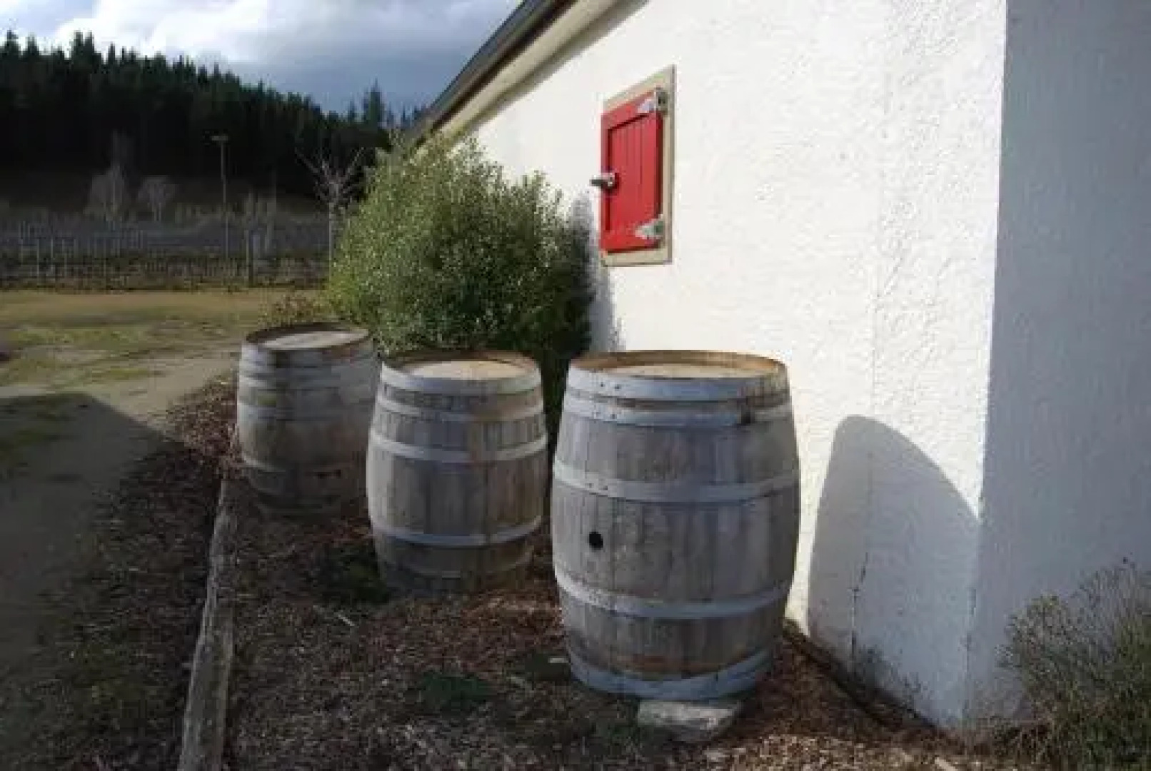 Judge Rock Exclusive Vineyard Cottage Accommodation