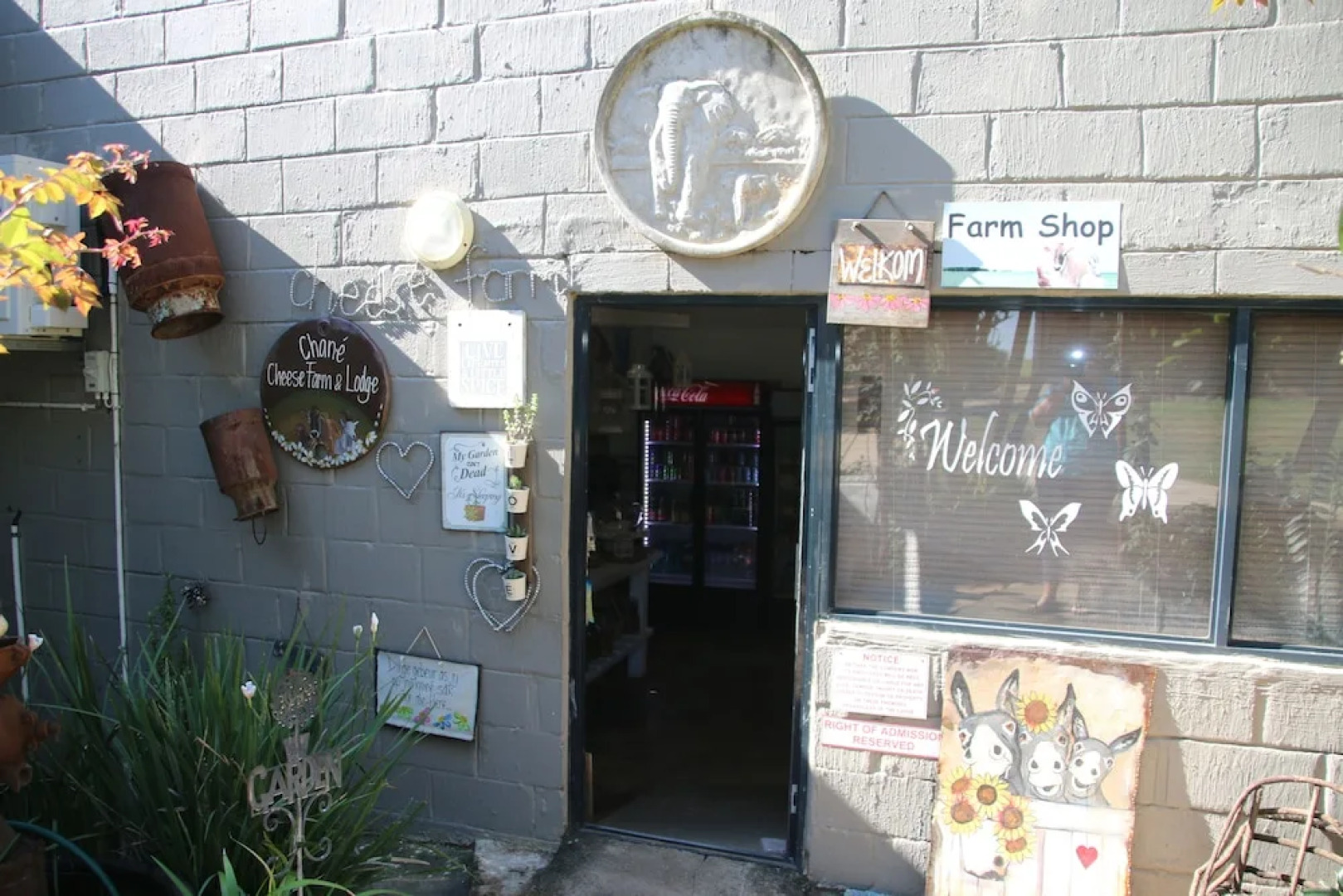 Chane Cheese Farm & Lodge