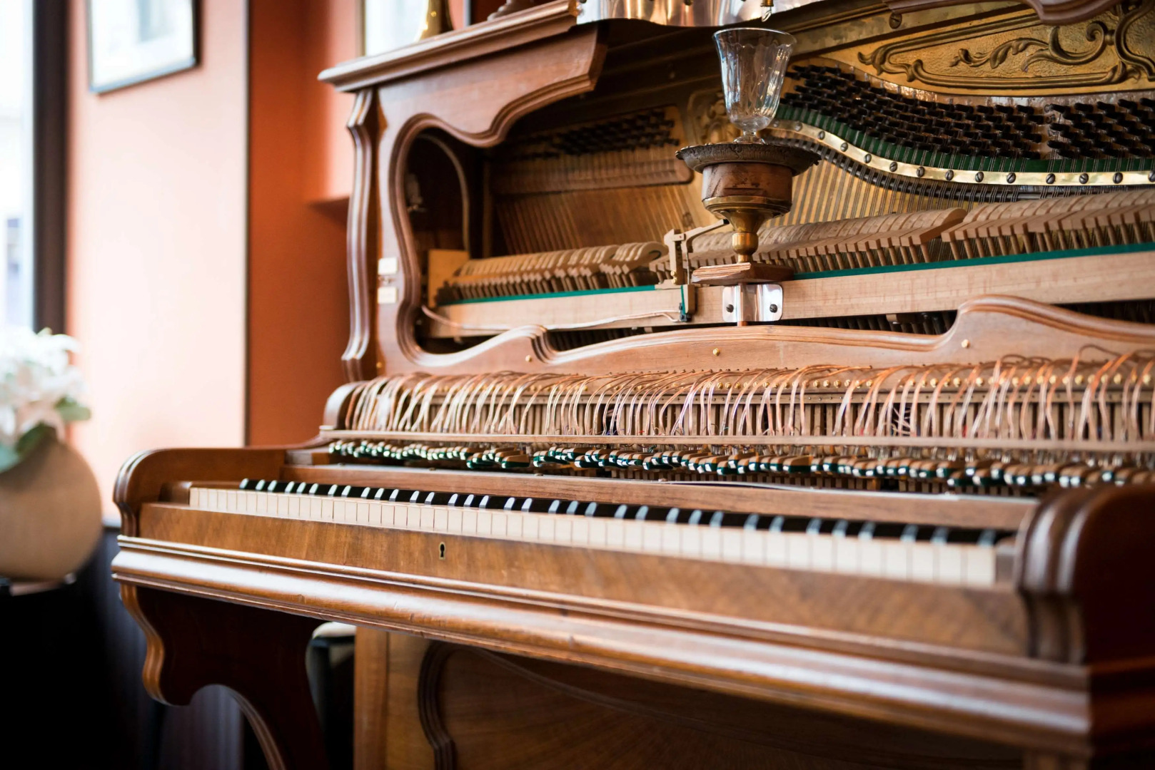 Hôtel Boris V. by Happyculture