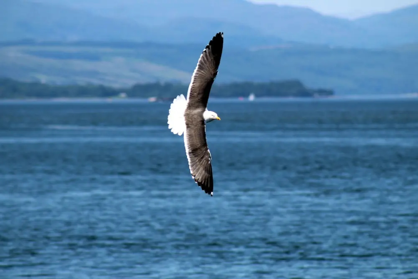 2 Bed Flat - Sleeps 4 - Parking - Wifi