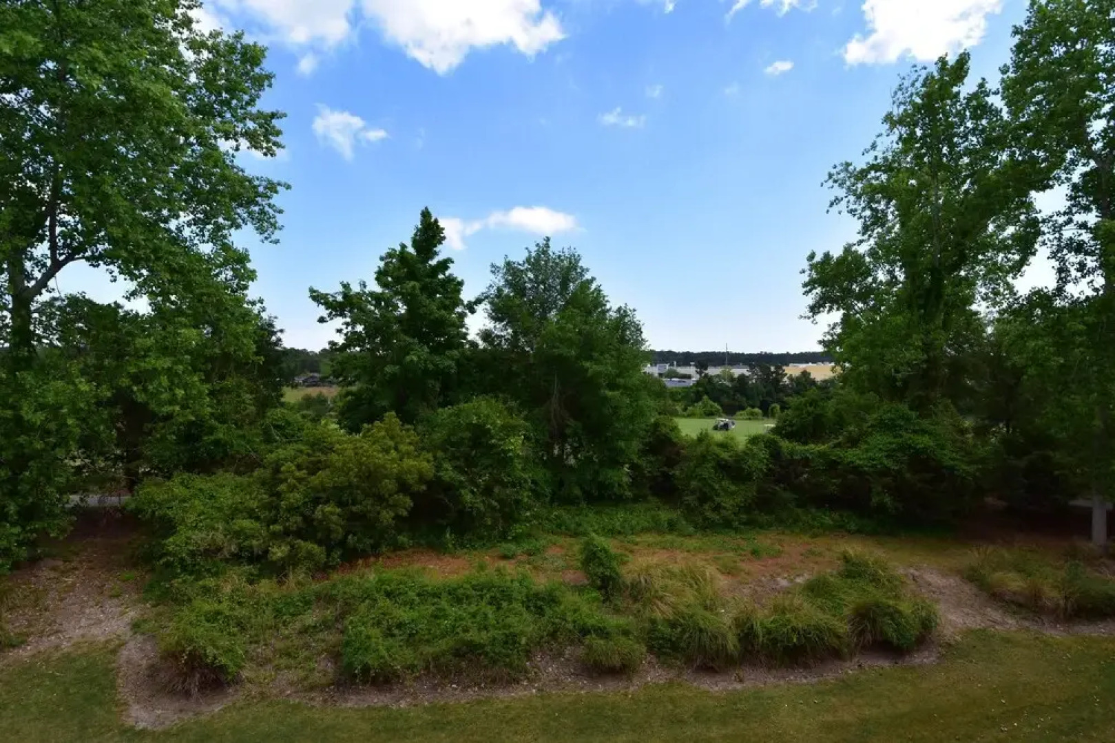 Ironwood Apartment 1631