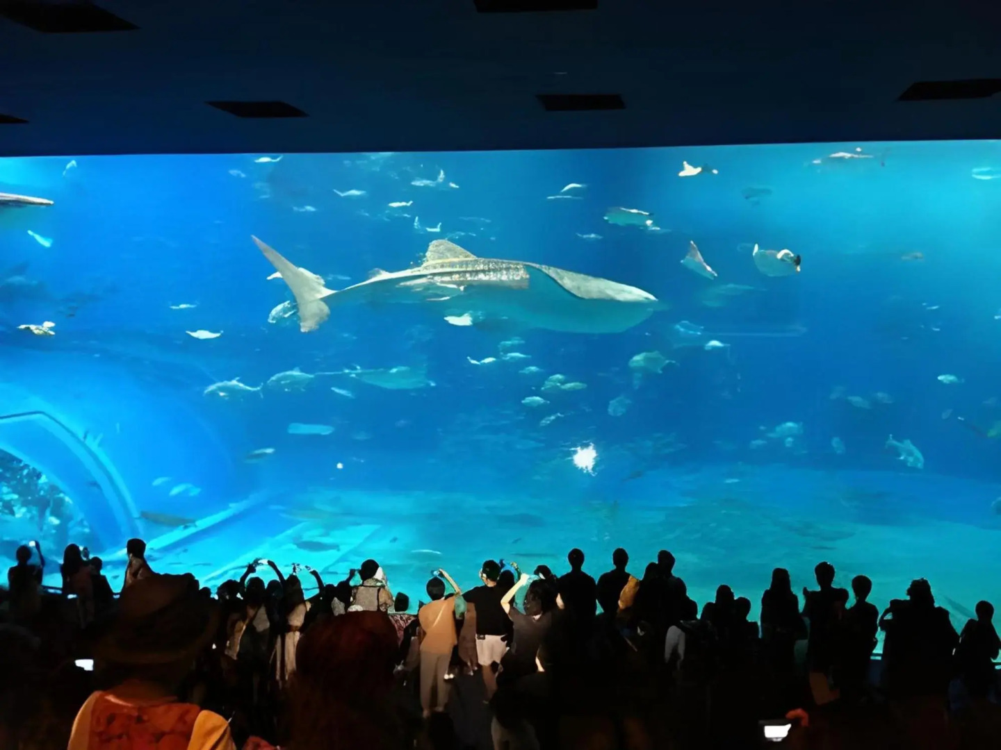 Condominium Ceaser Nakijin