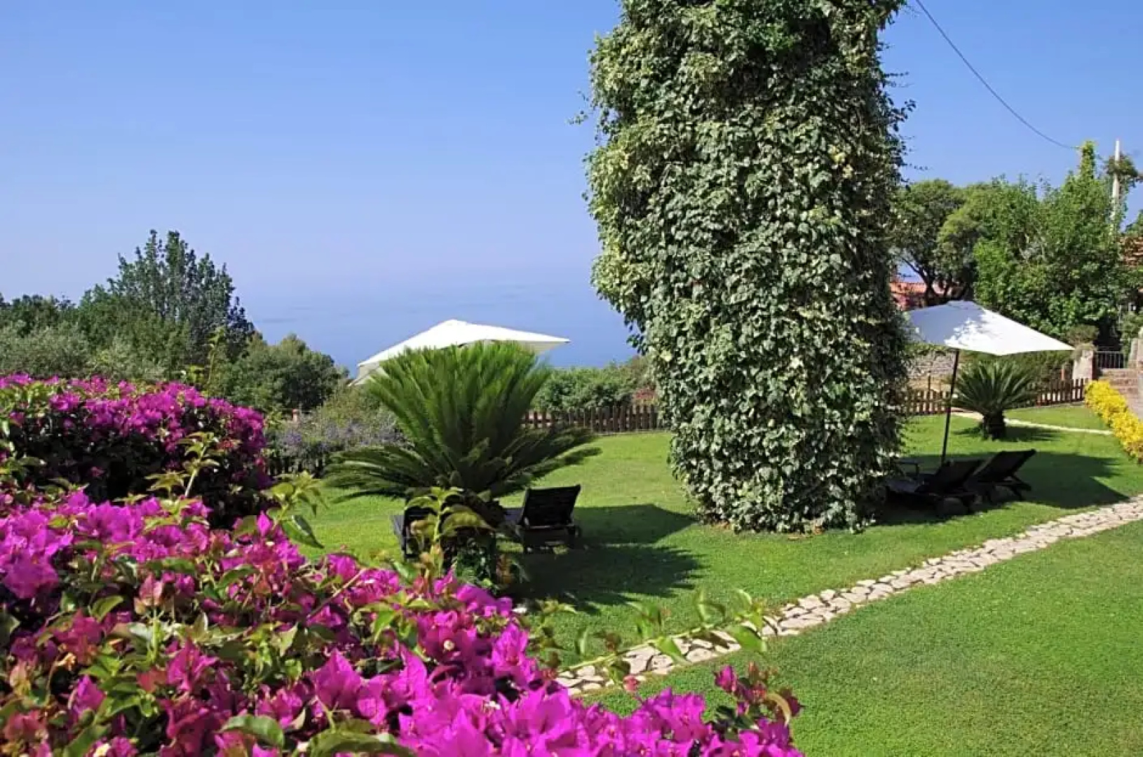 Bed and Breakfast Nefer