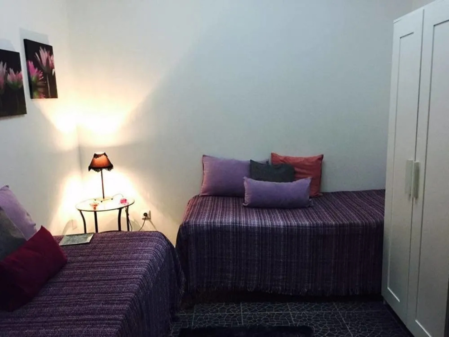 Pico Dreams - Sportfish