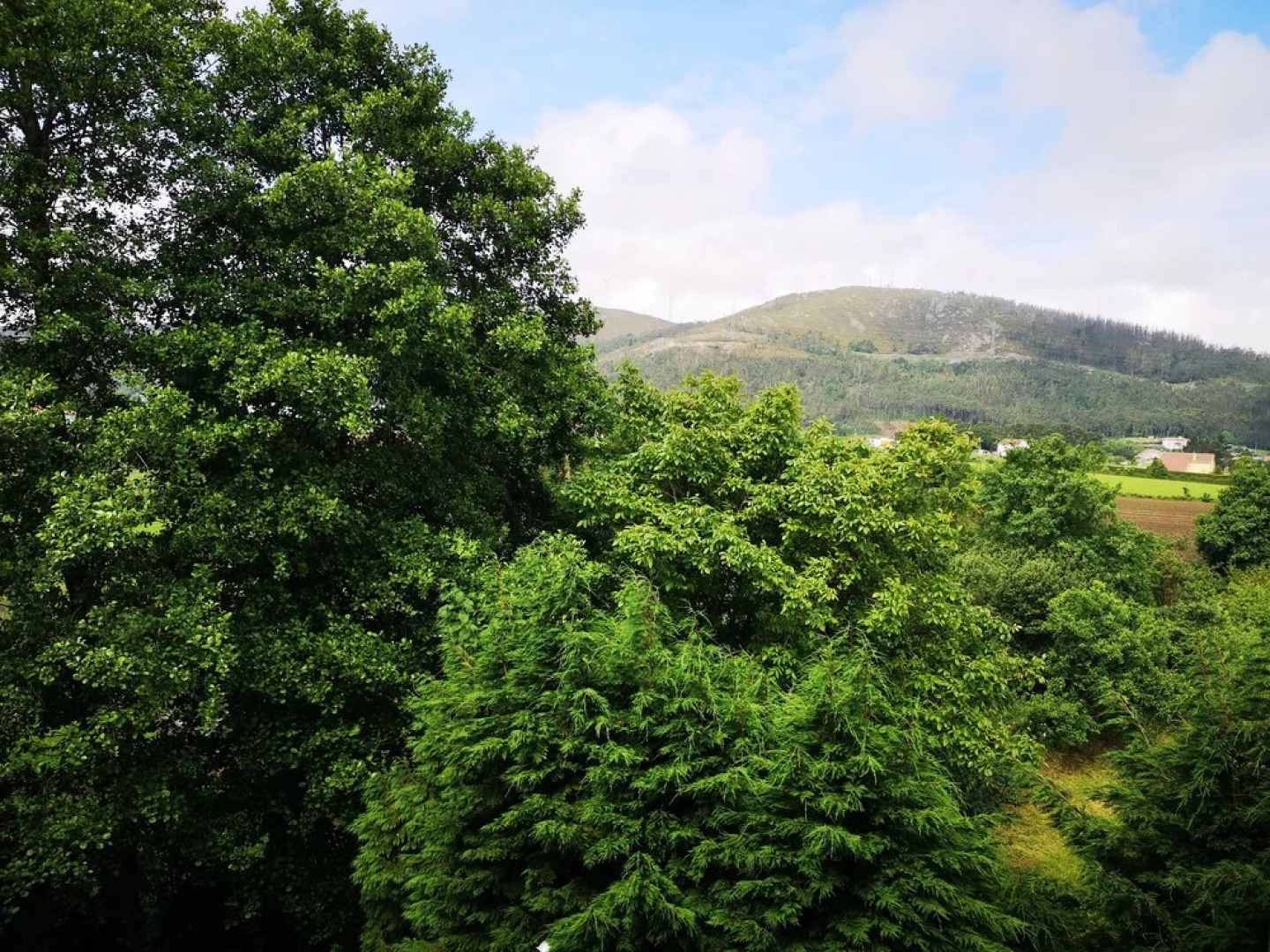 Pensión Parrillada Montevideo