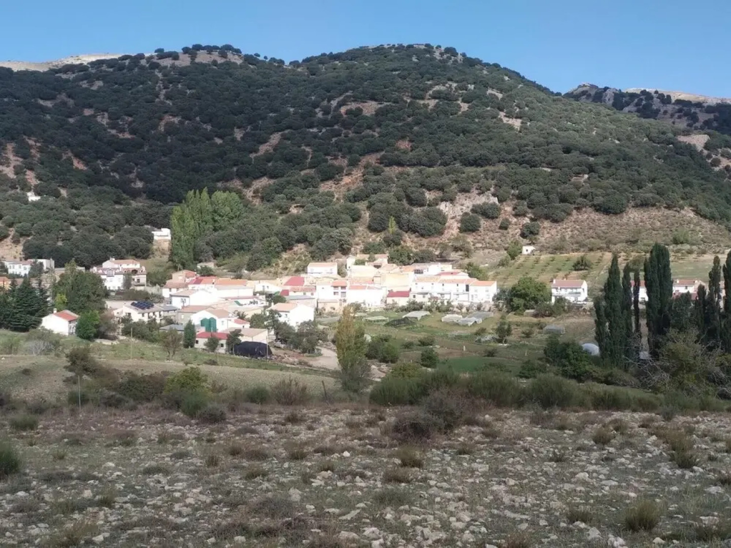 Apartment With one Bedroom in El Cerezo, With Pool Access, Enclosed Garden and Wifi