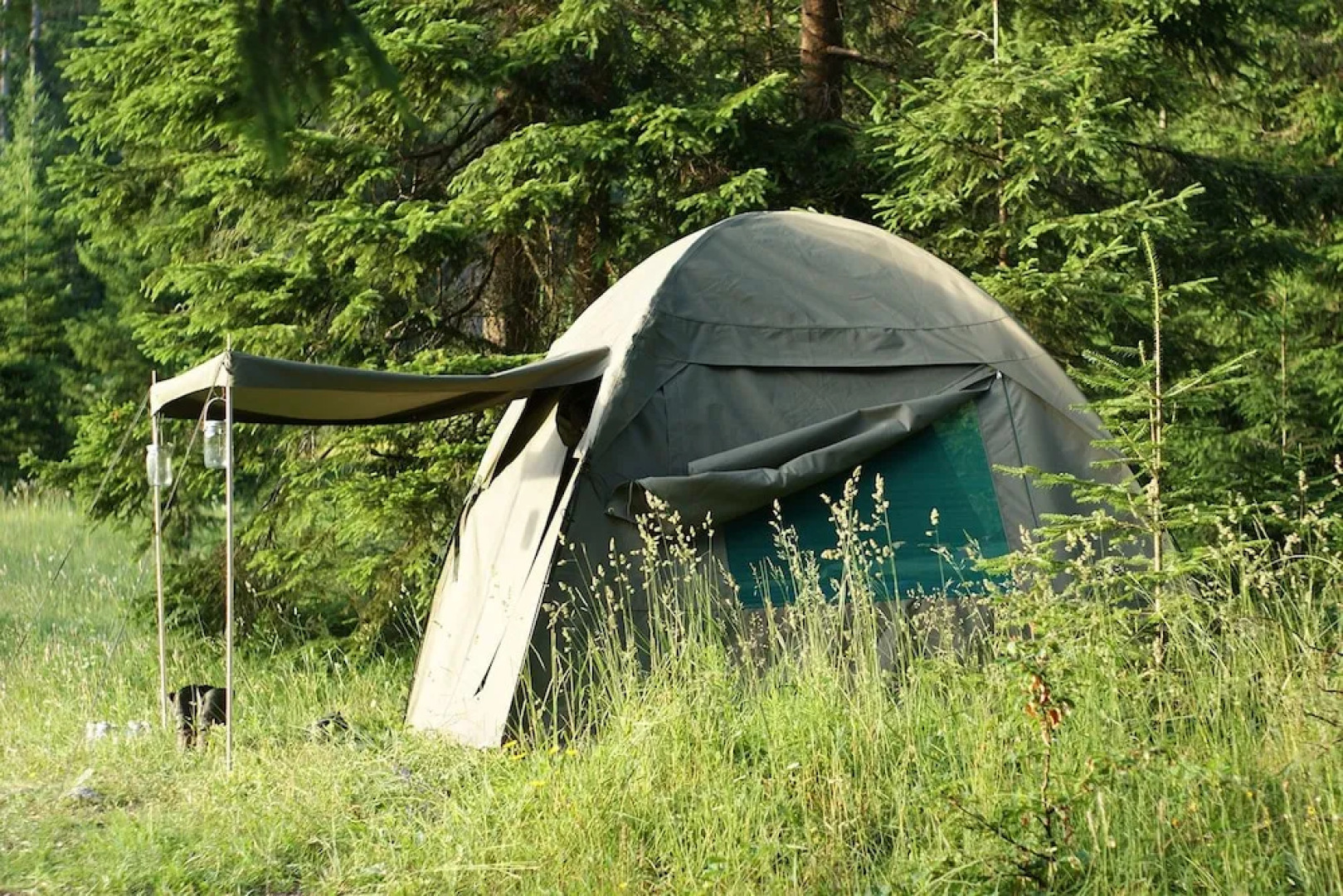 Linden Tree Retreat & Ranch