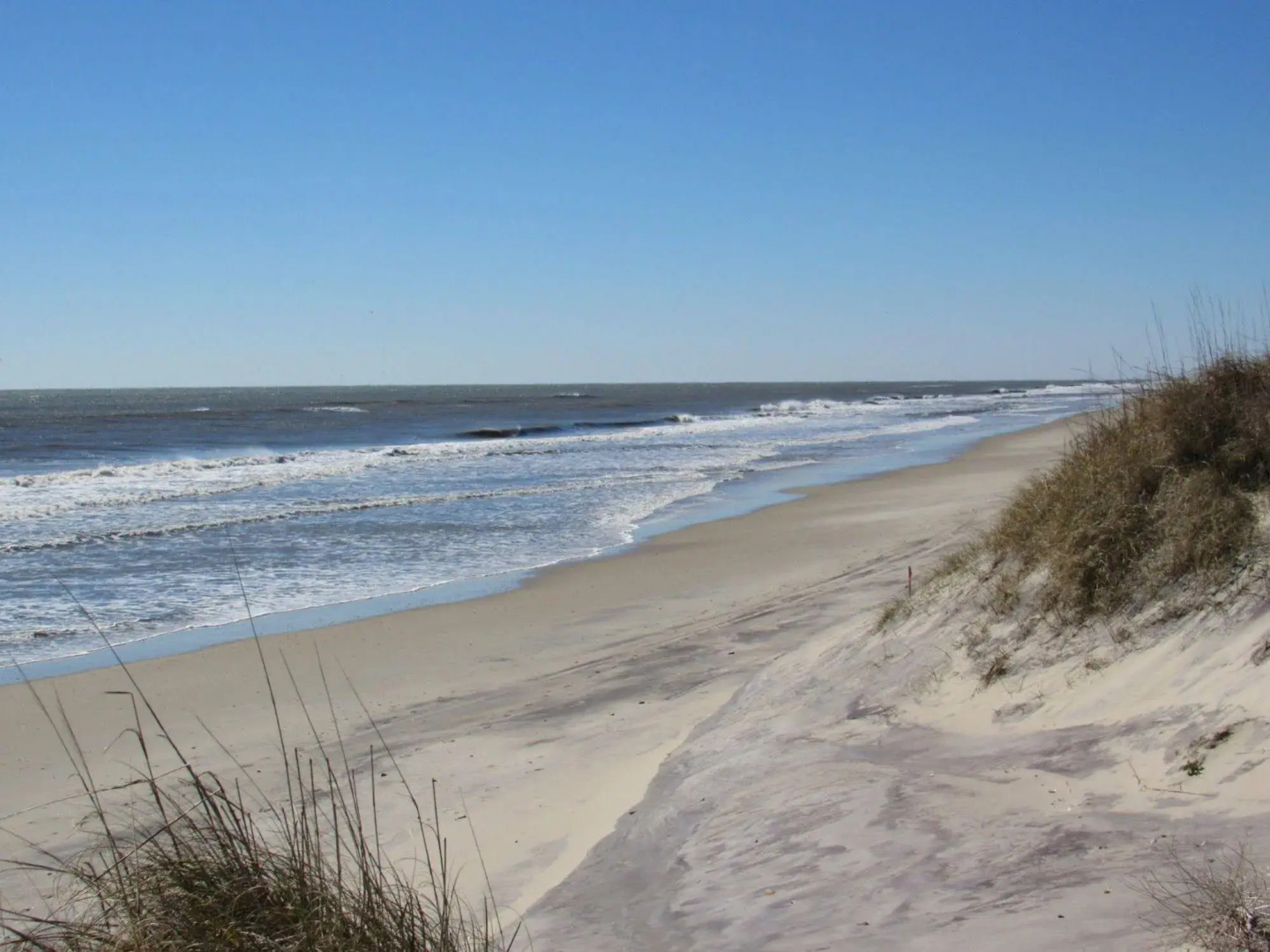 Sea Gull By Kees Vacations
