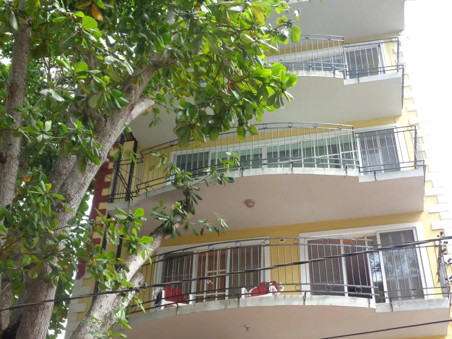 RIG Hostel Boca Chica Back Packer