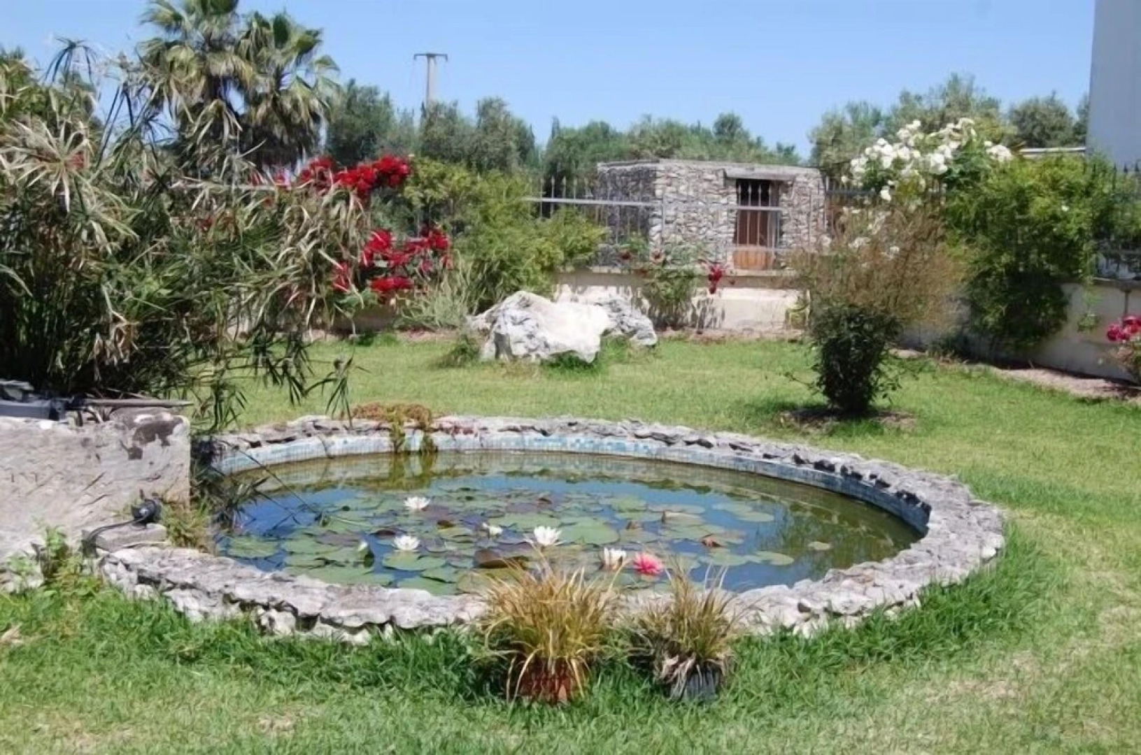 Scalilla - L'Agriturismo