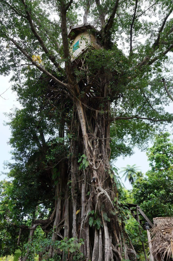 Tanna Lava View Bungalows