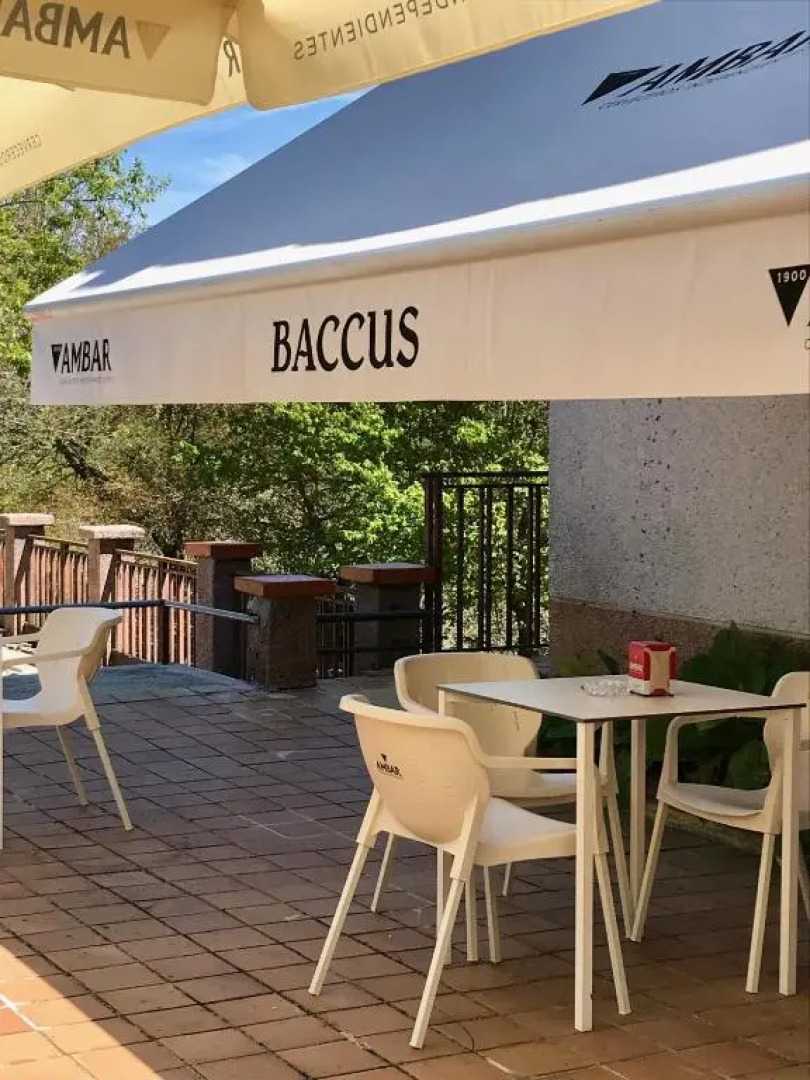 Hotel Baccus