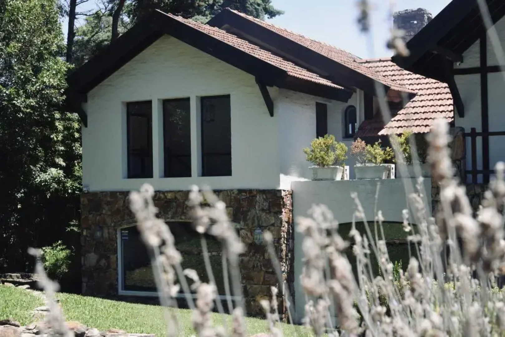 Cardón Posada Boutique