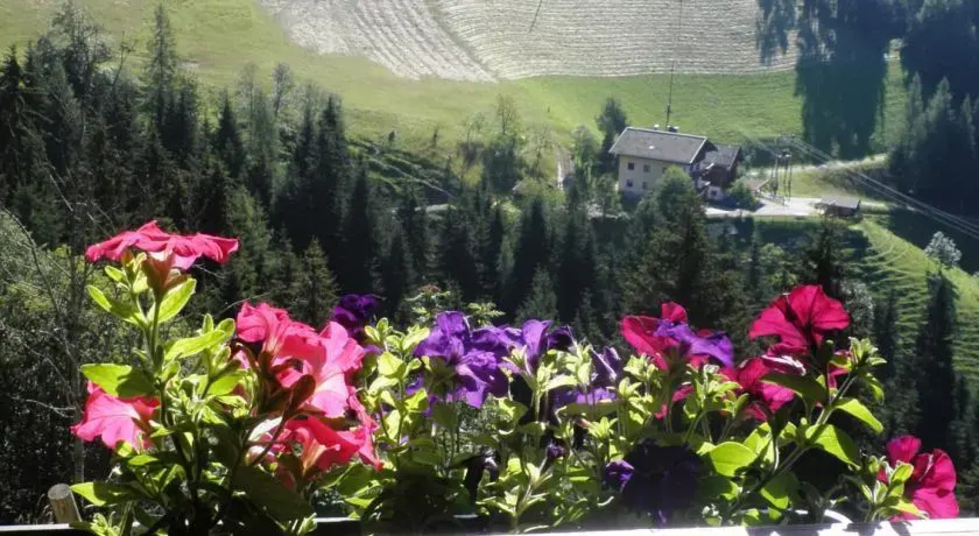 Bio Bauernhof Brandgut