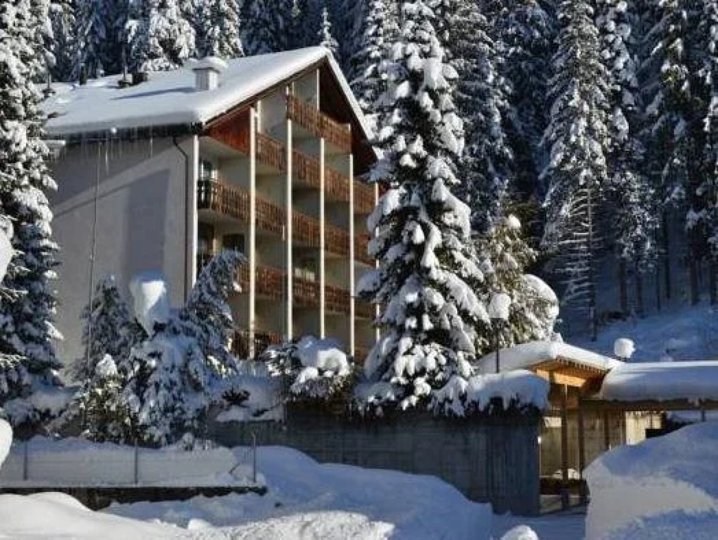 Hotel Casa Selva Garni