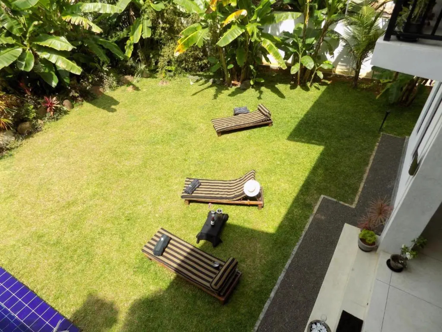 Madampe House by Tree