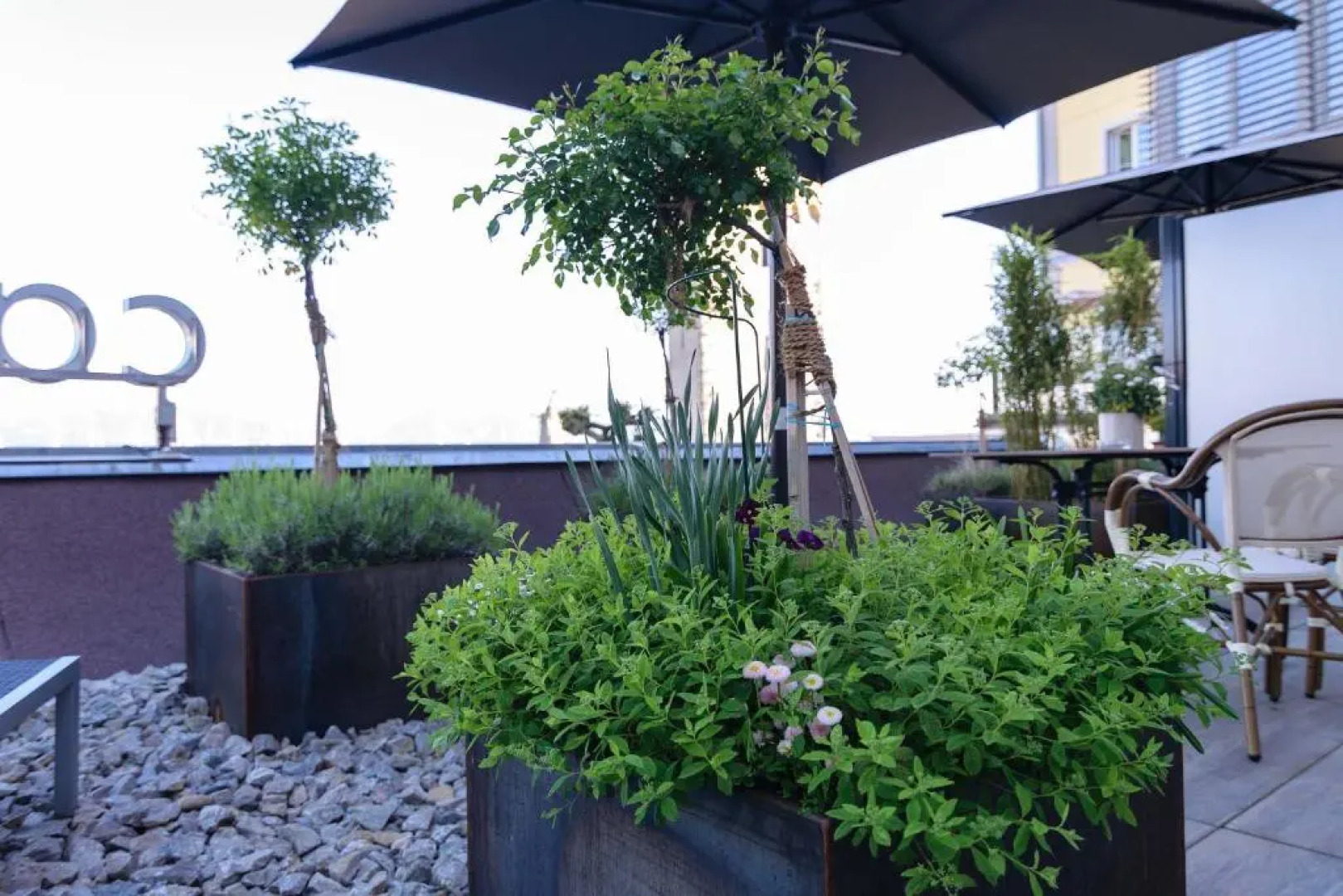 Hotel Schreier am See