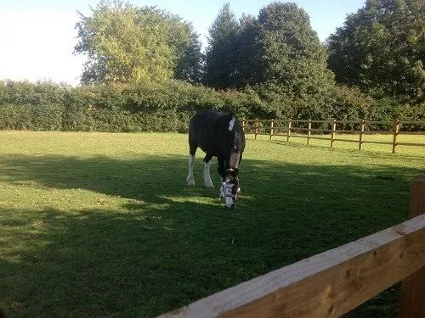 Ravencar Farm Bed and Breakfast