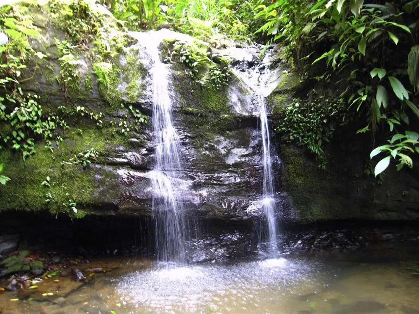 Samasati Yoga & Wellness Retreat