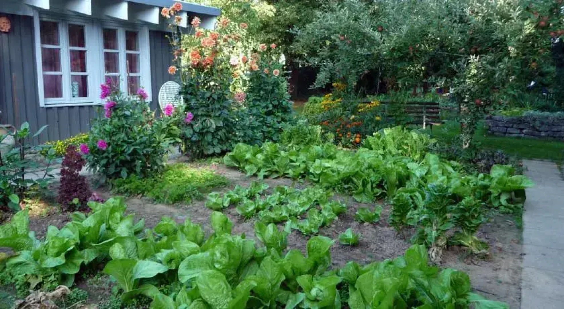 Ferienhaus Gartenlust