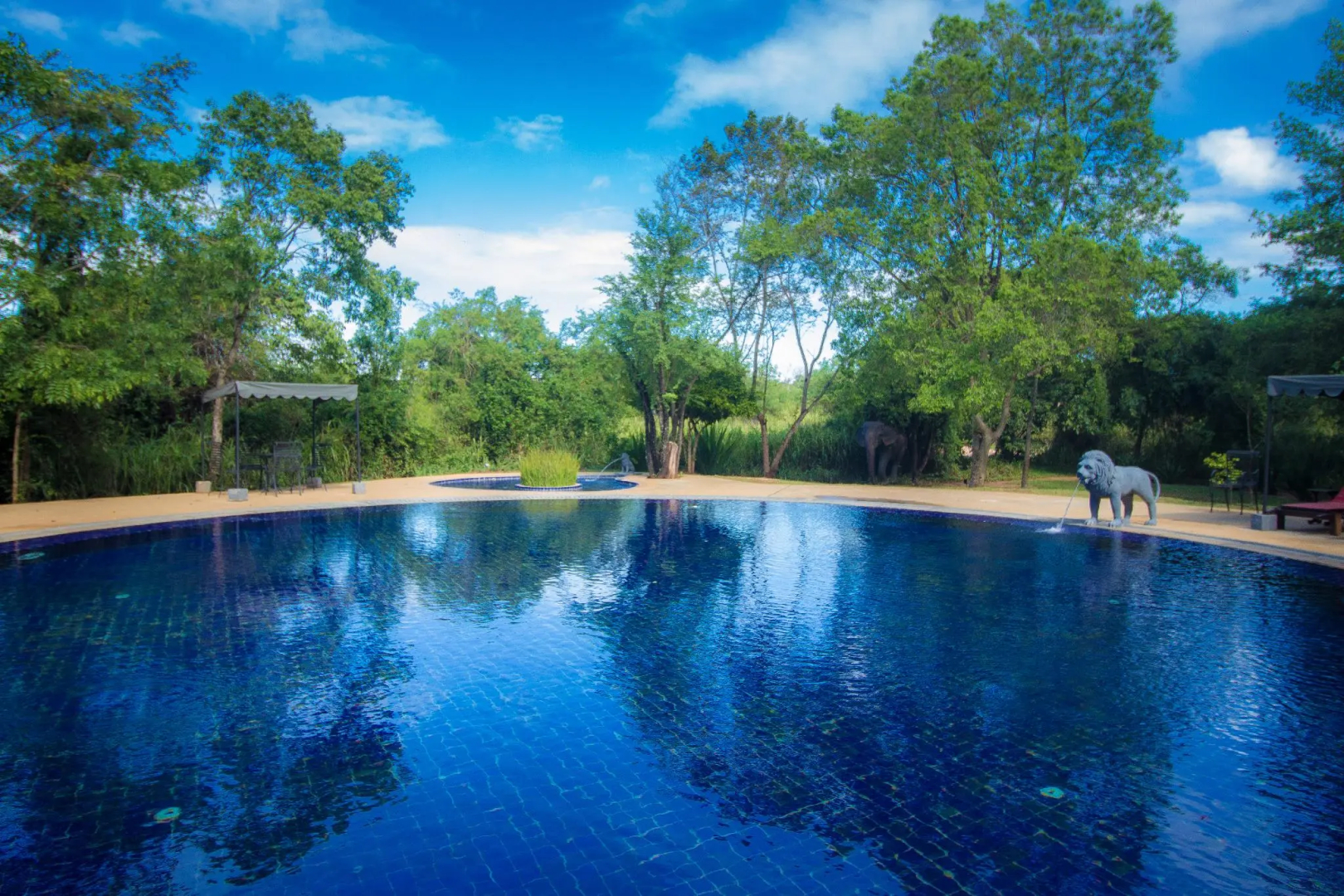 The Elephant Corridor Hotel