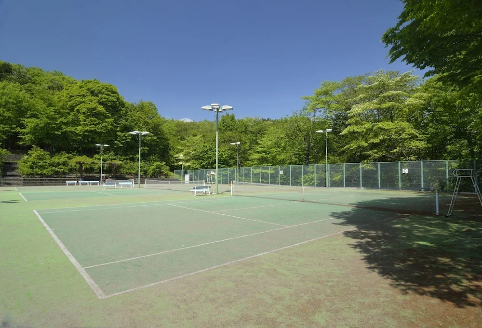 Forest Resort Conifer Iwabitsu