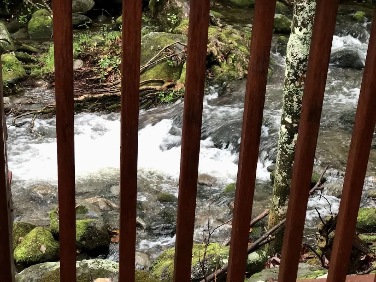 Hanky Panky 1 Bedroom Cabin