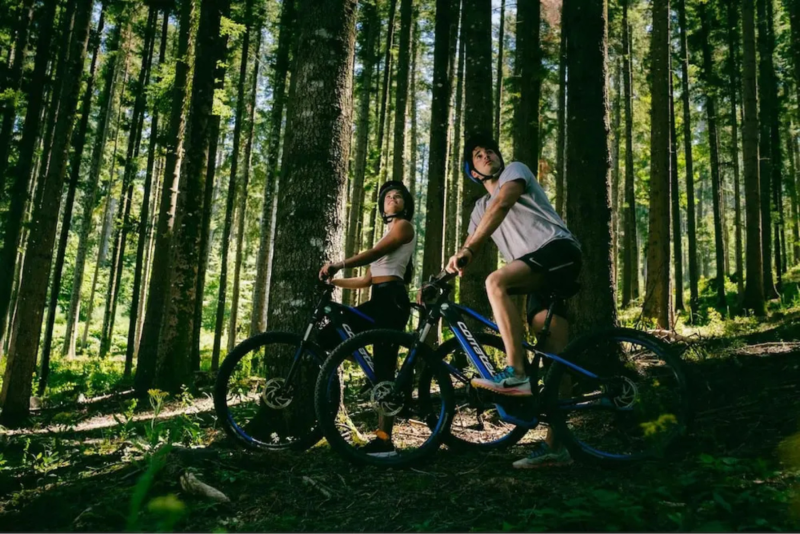 Fattoria Degli Usignoli