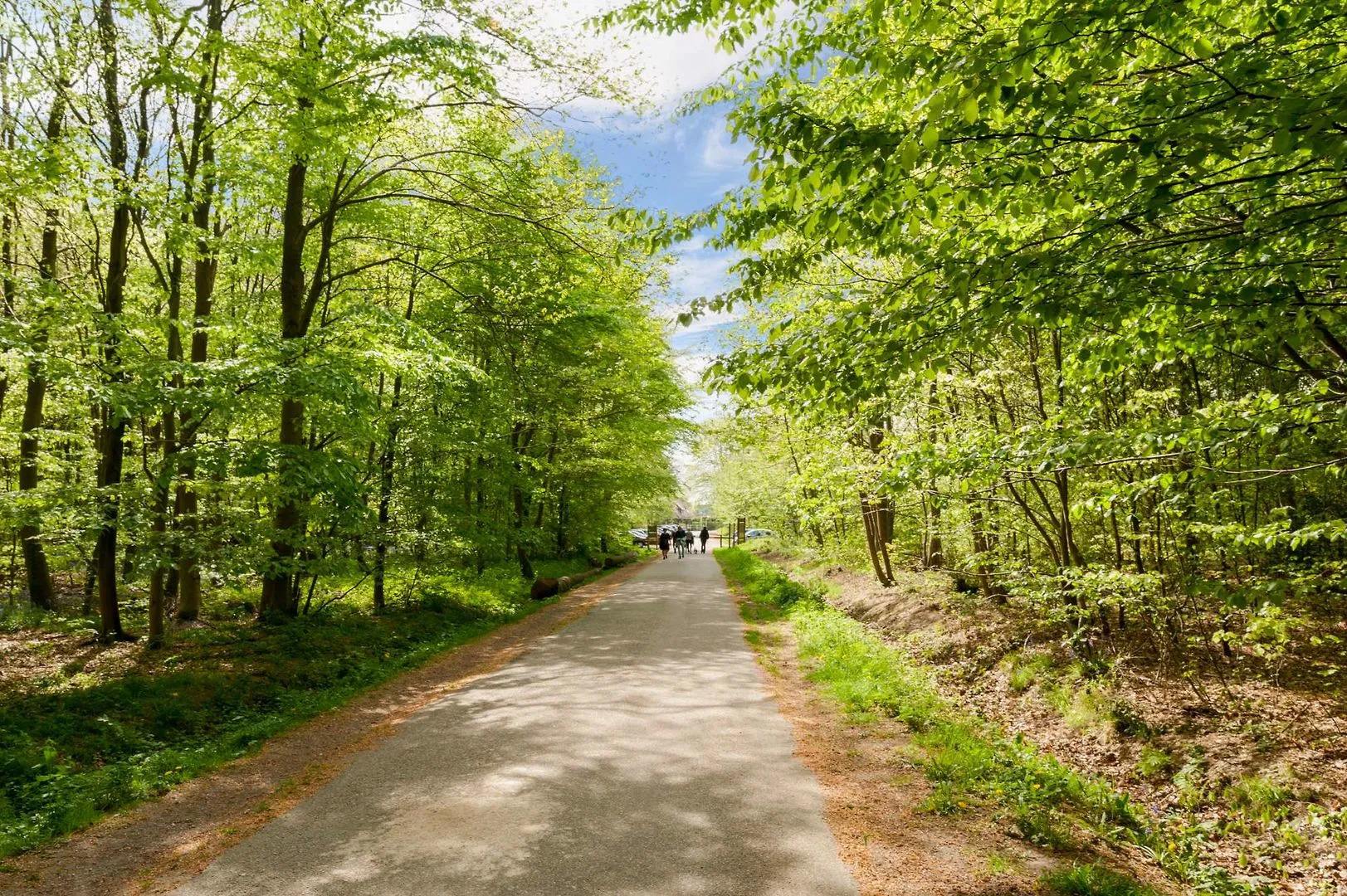 The Originals City, Hôtel Éden