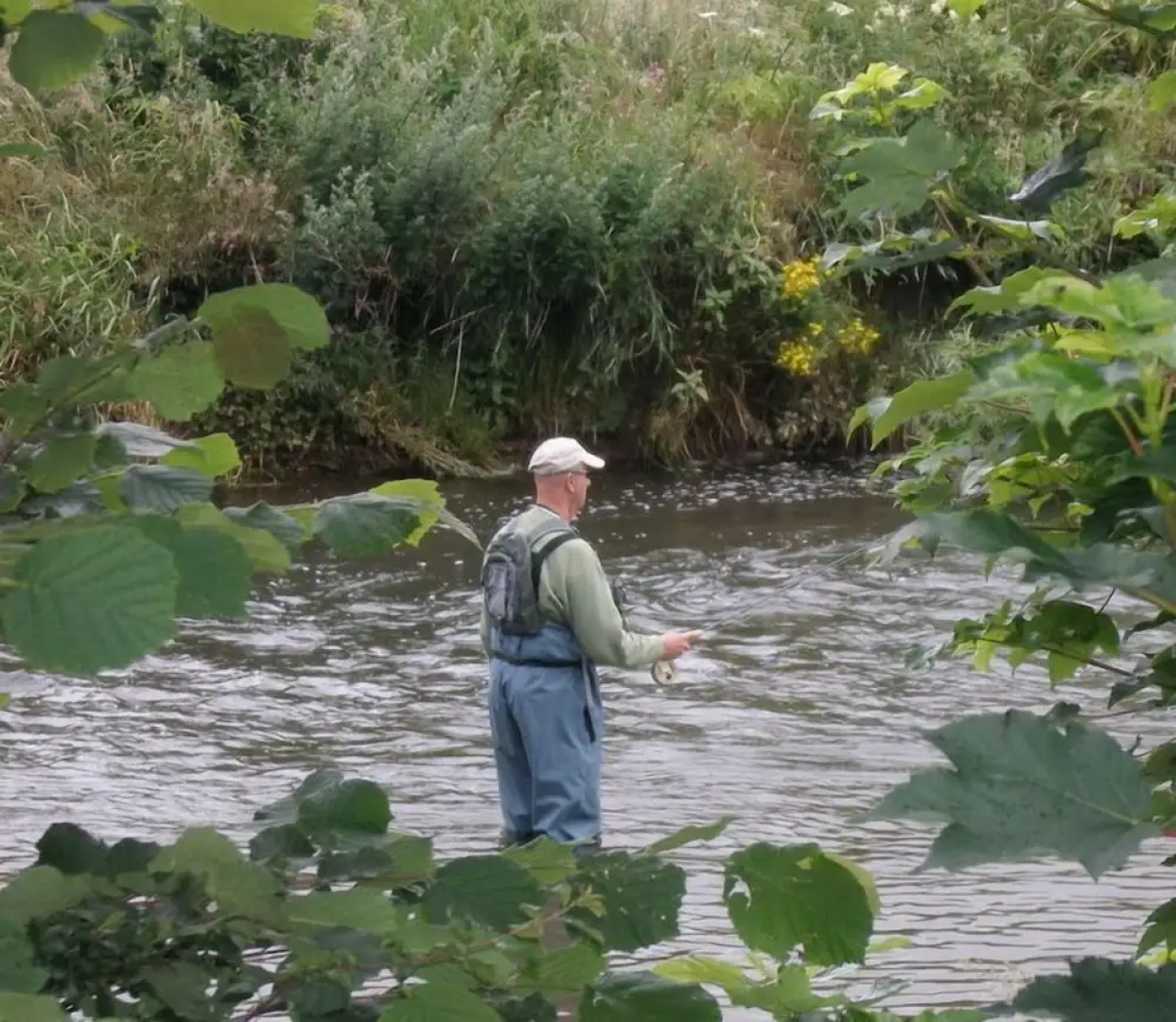 Fox & Hounds Country Hotel