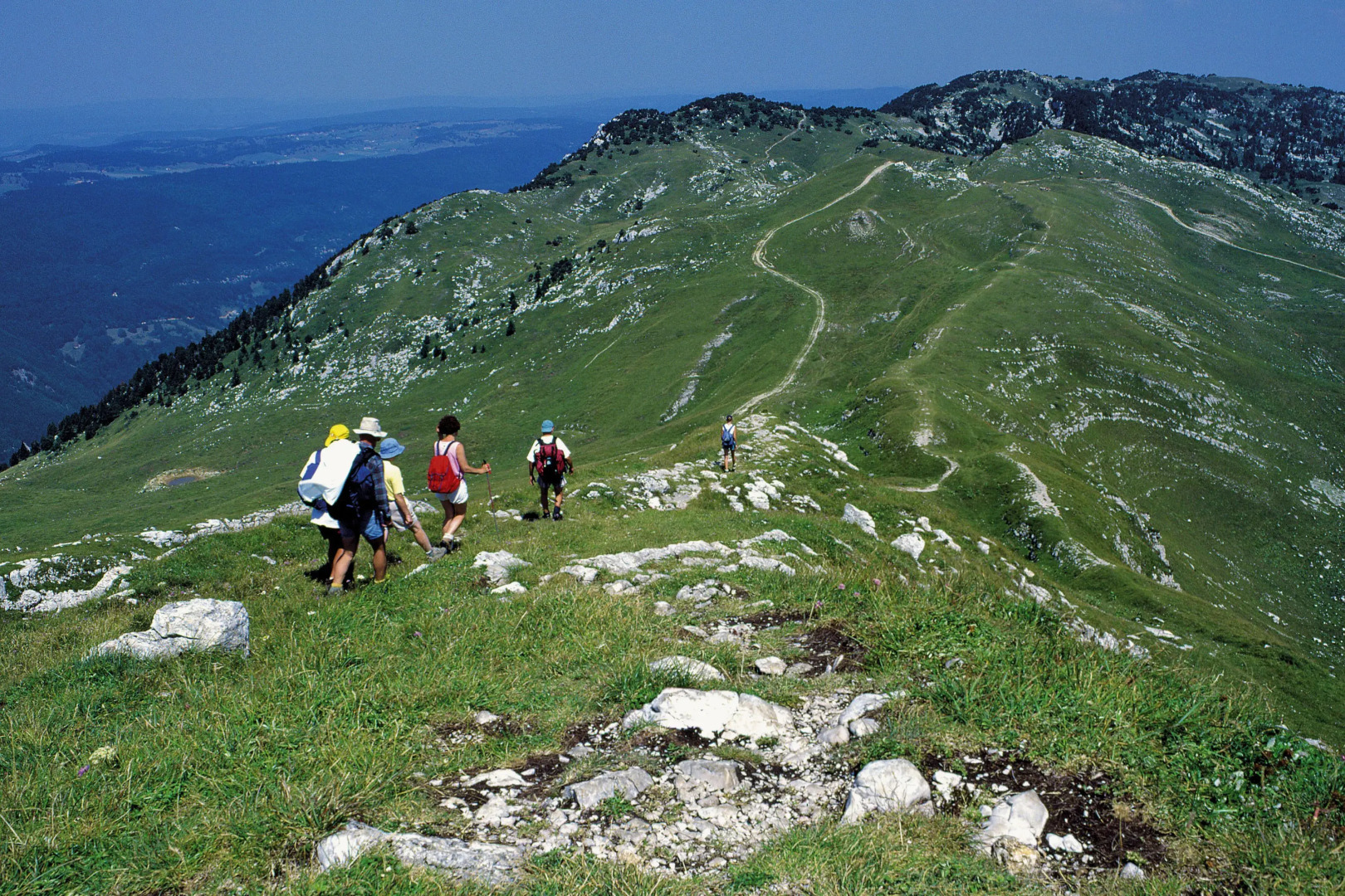 VVF Villages Les Monts Du Jura Lélex