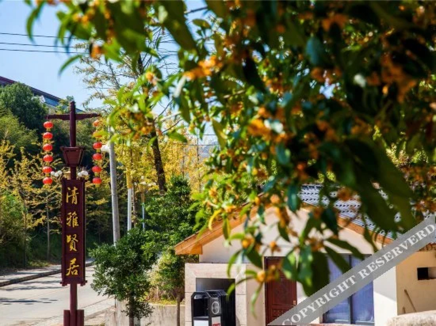 Qingya Xianju
