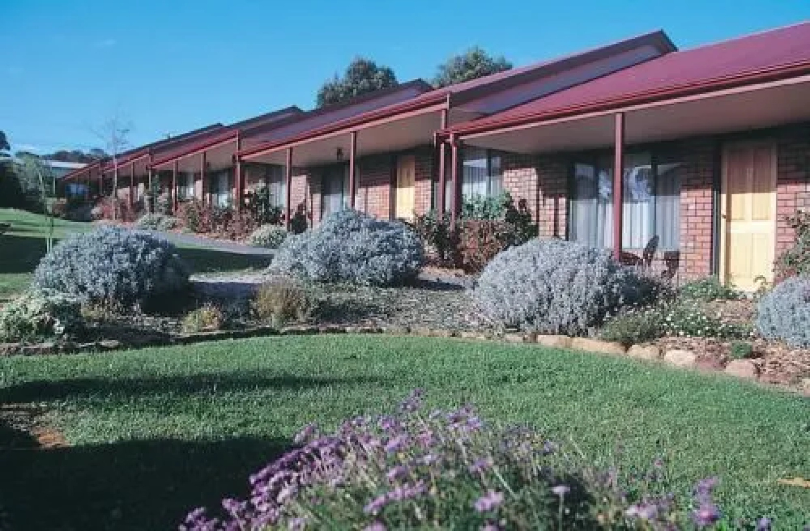 Acacia Apartments