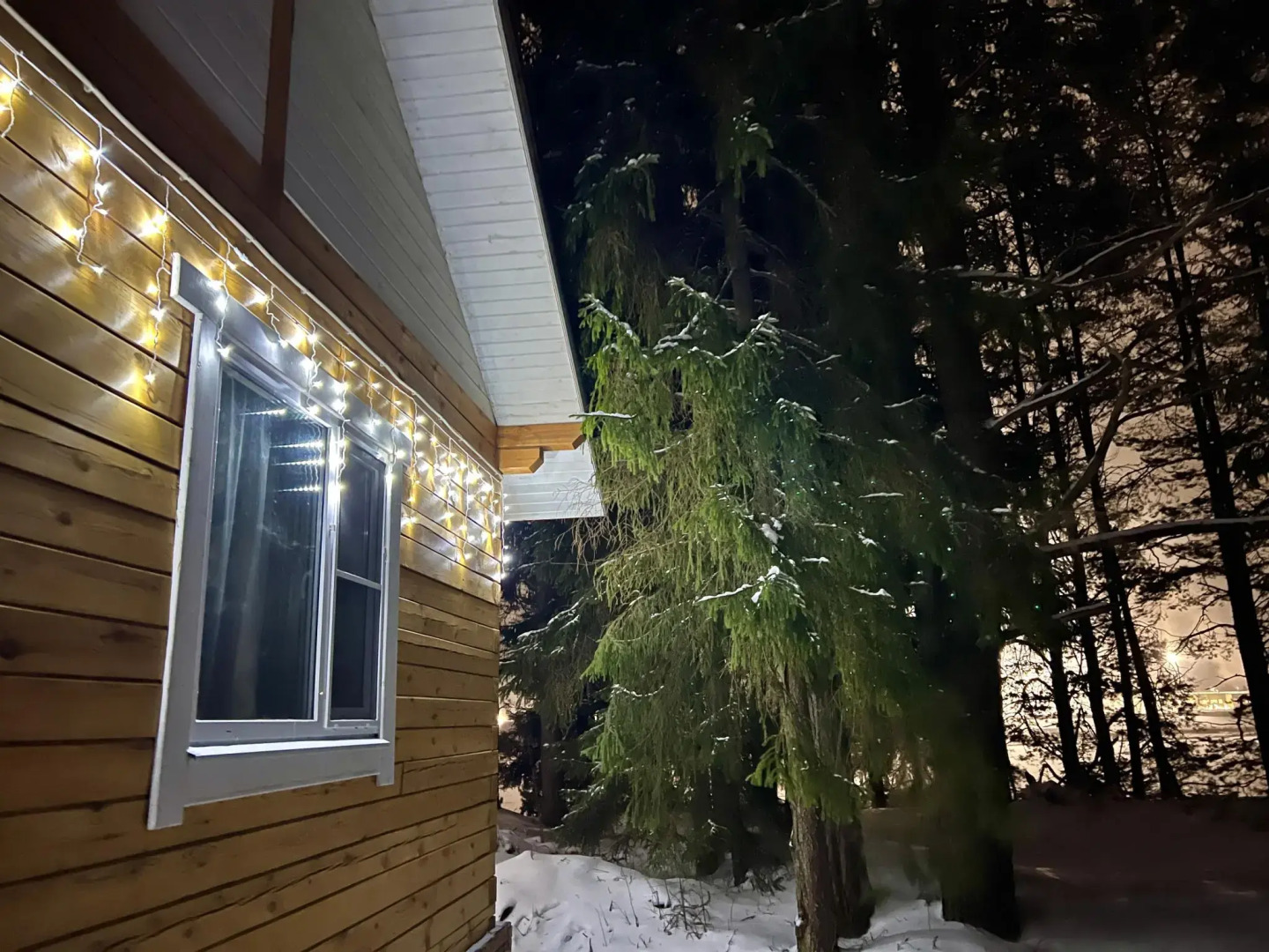 Северная Звезда