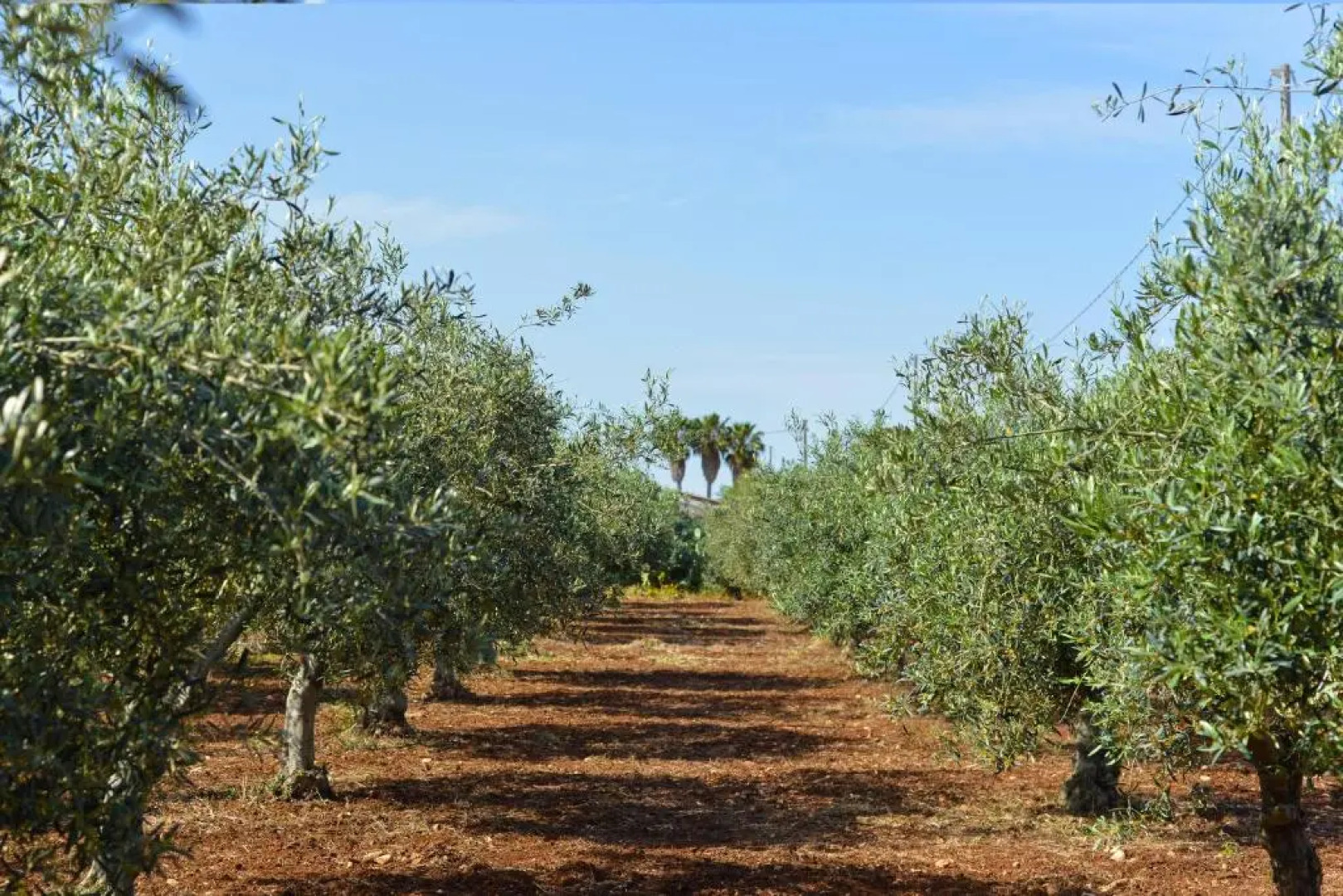 Camere Ginevra Relax Country Rooms