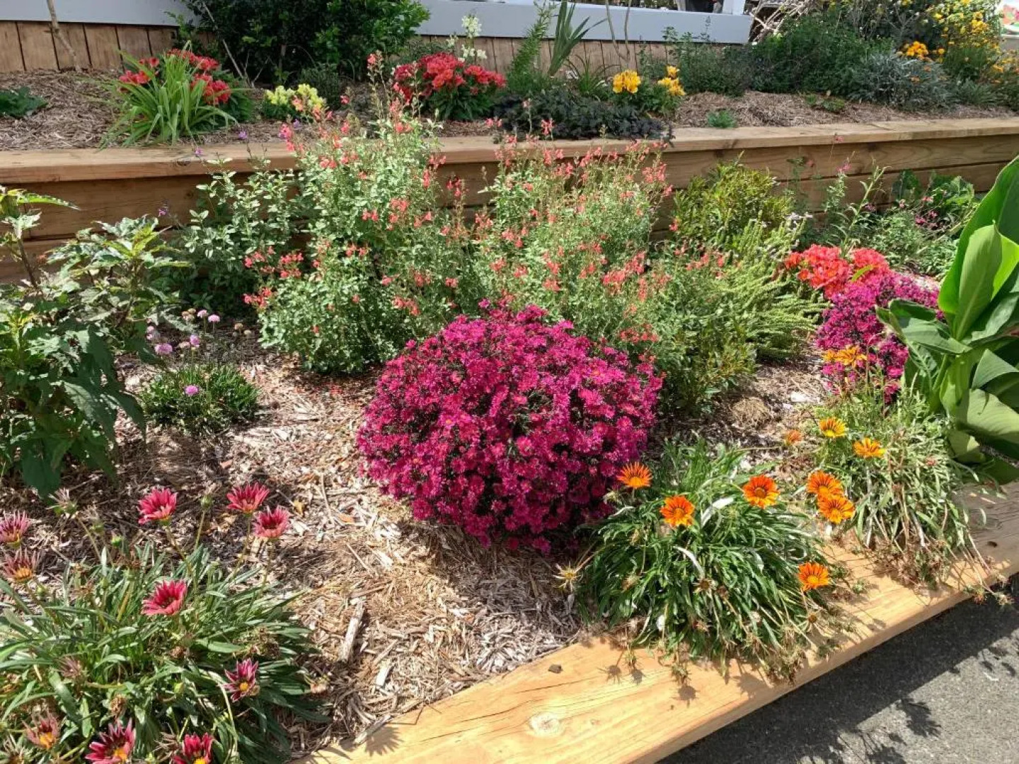 Tracy's Boutique BnB Farmstay