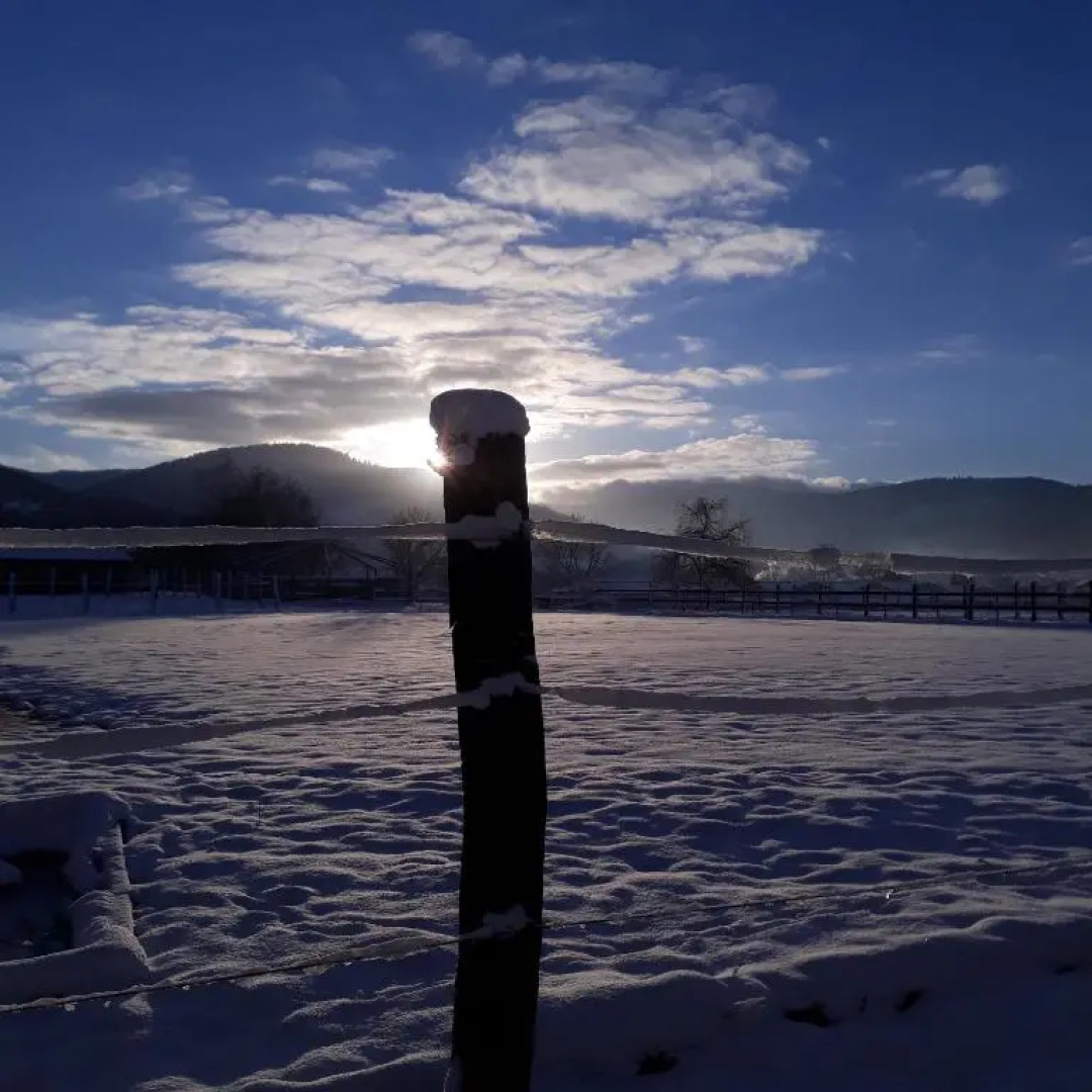 Le Gîte du Cheval Blanc