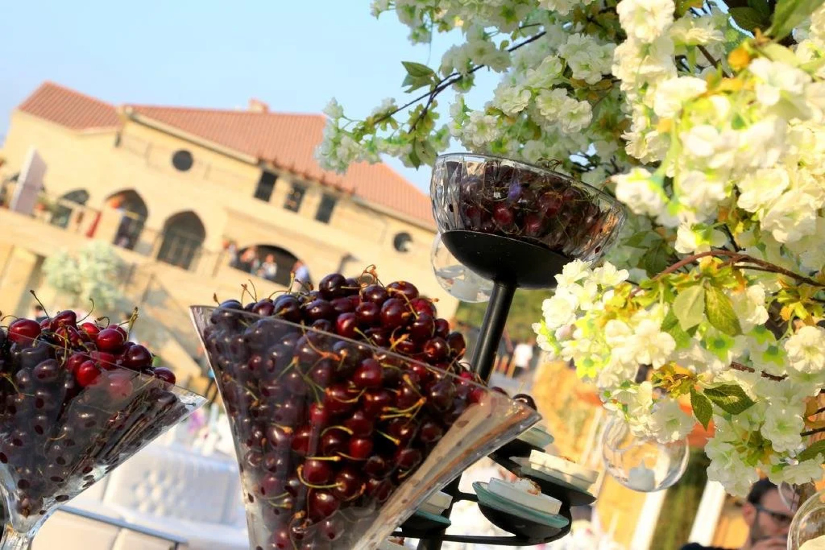 Cherry Blossom Boutique Hotel