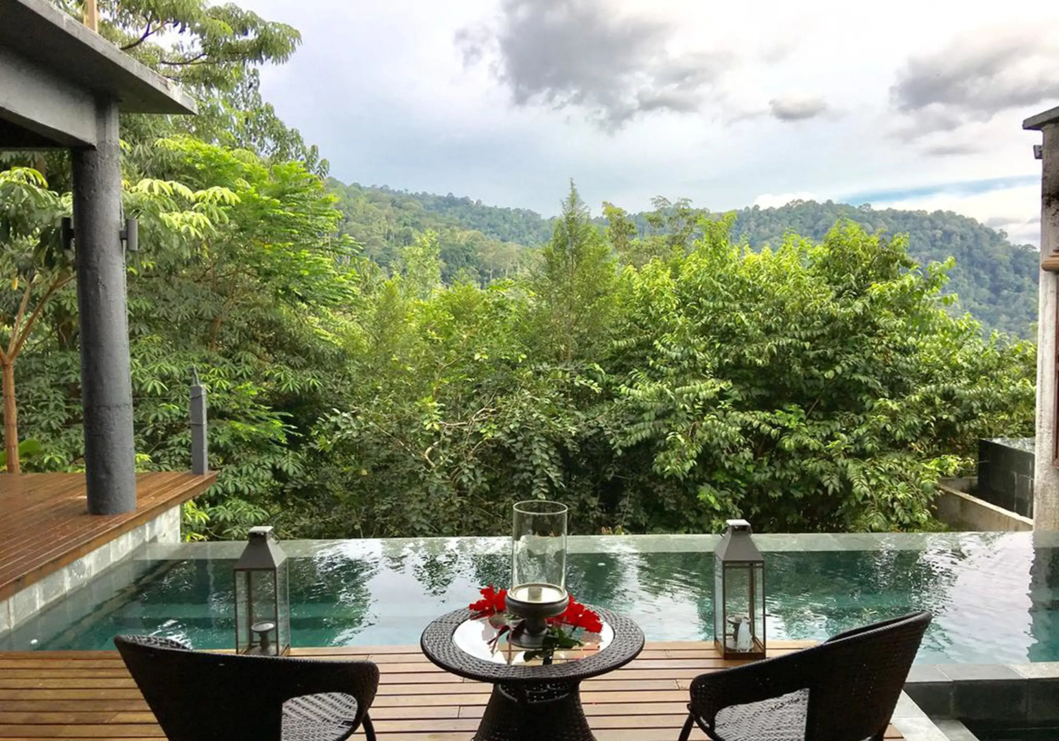 The Shorea