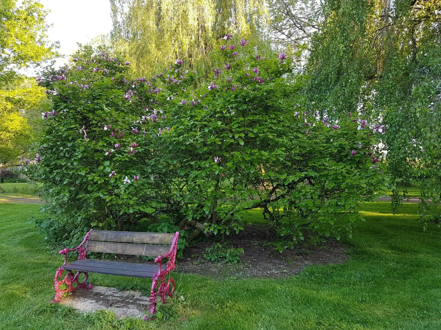 Hôtel De France Restaurant Grill - Domfront