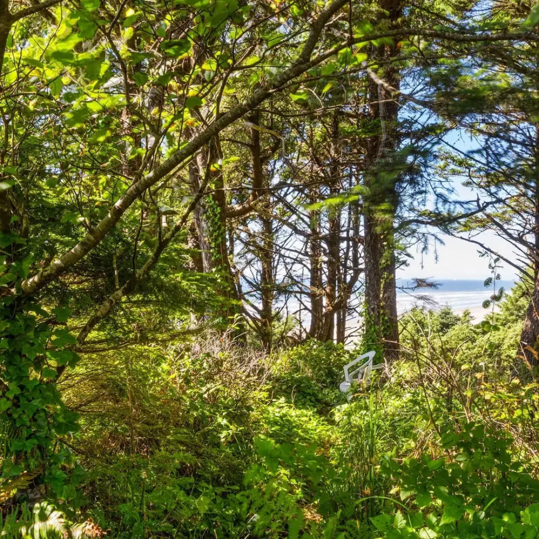 Sandcastle Bluff in Moclips