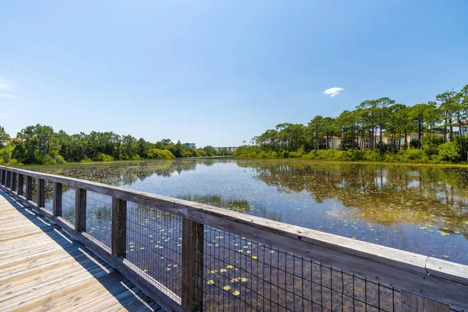 Prominence North #299b - A New Sunrise