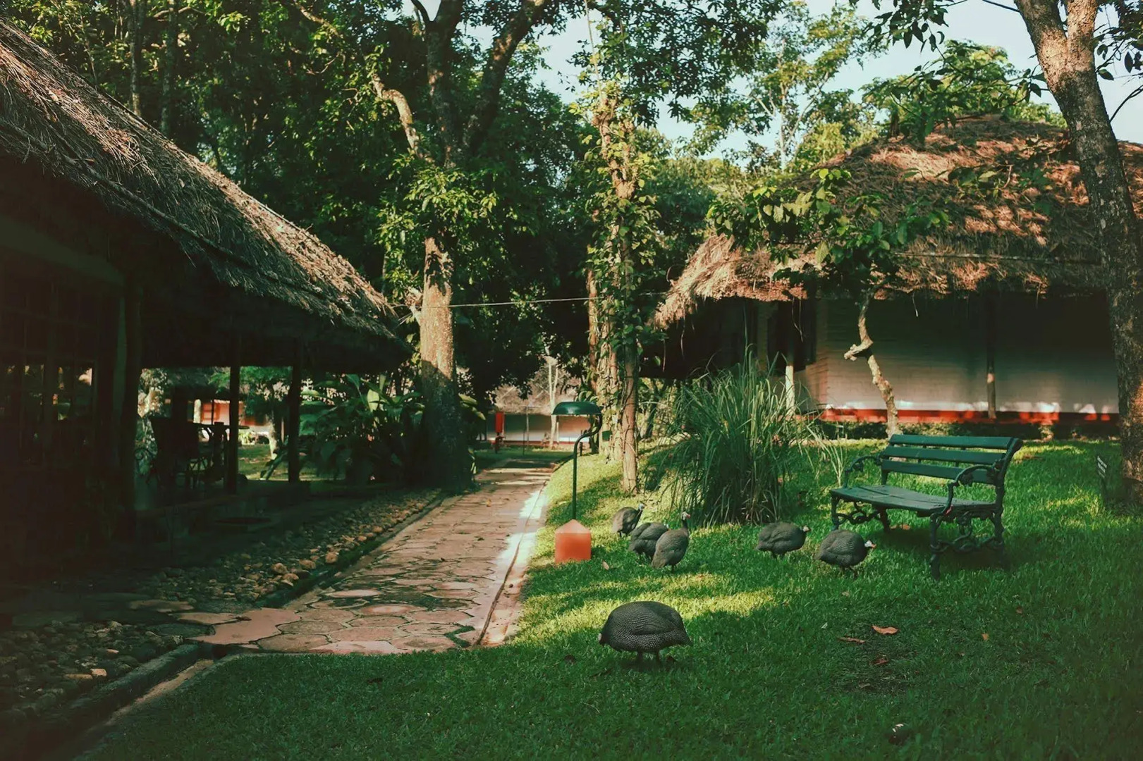 Spice Village - Cgh Earth