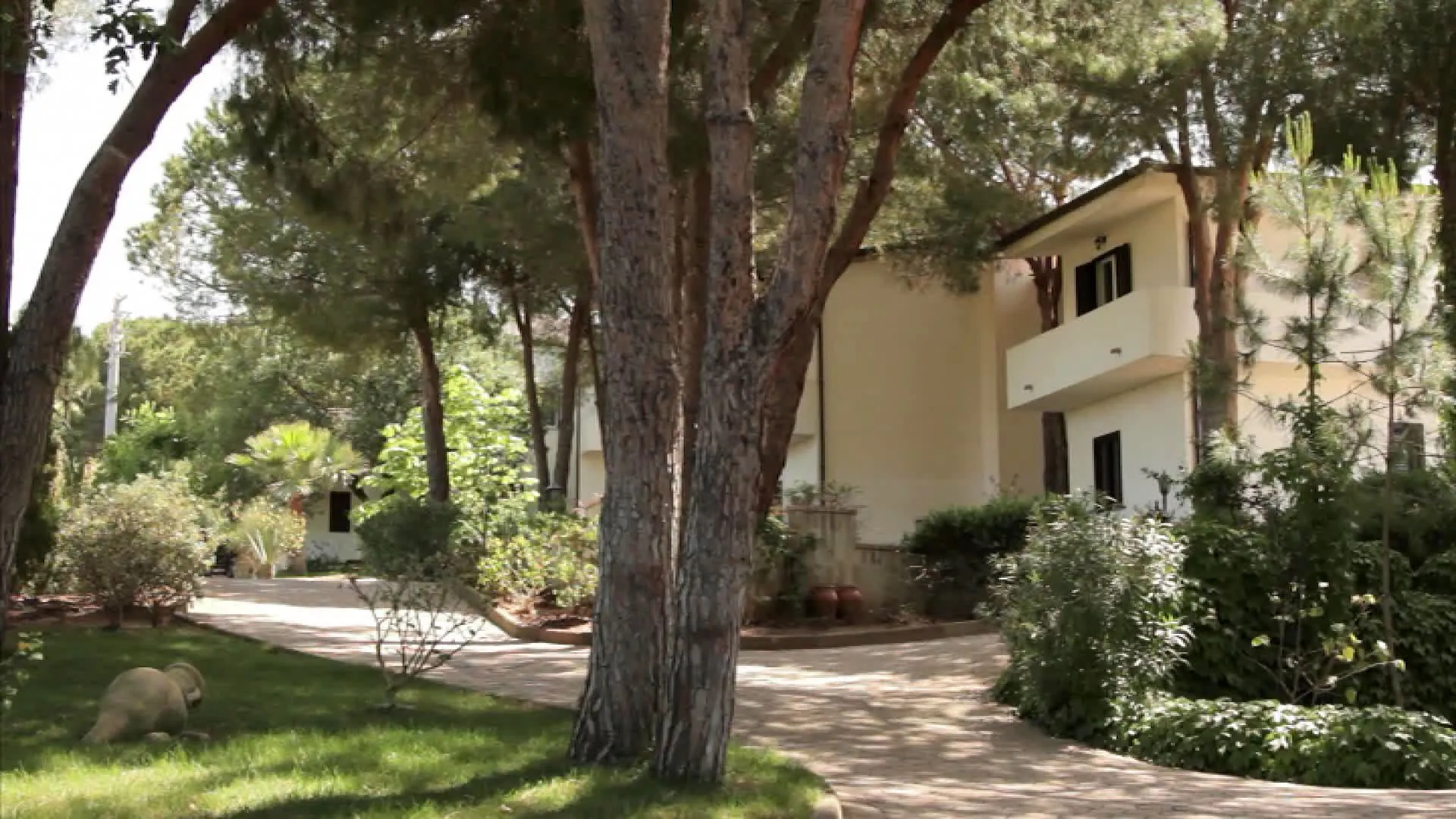 Villaggio Hotel Pineta Petto Bianco