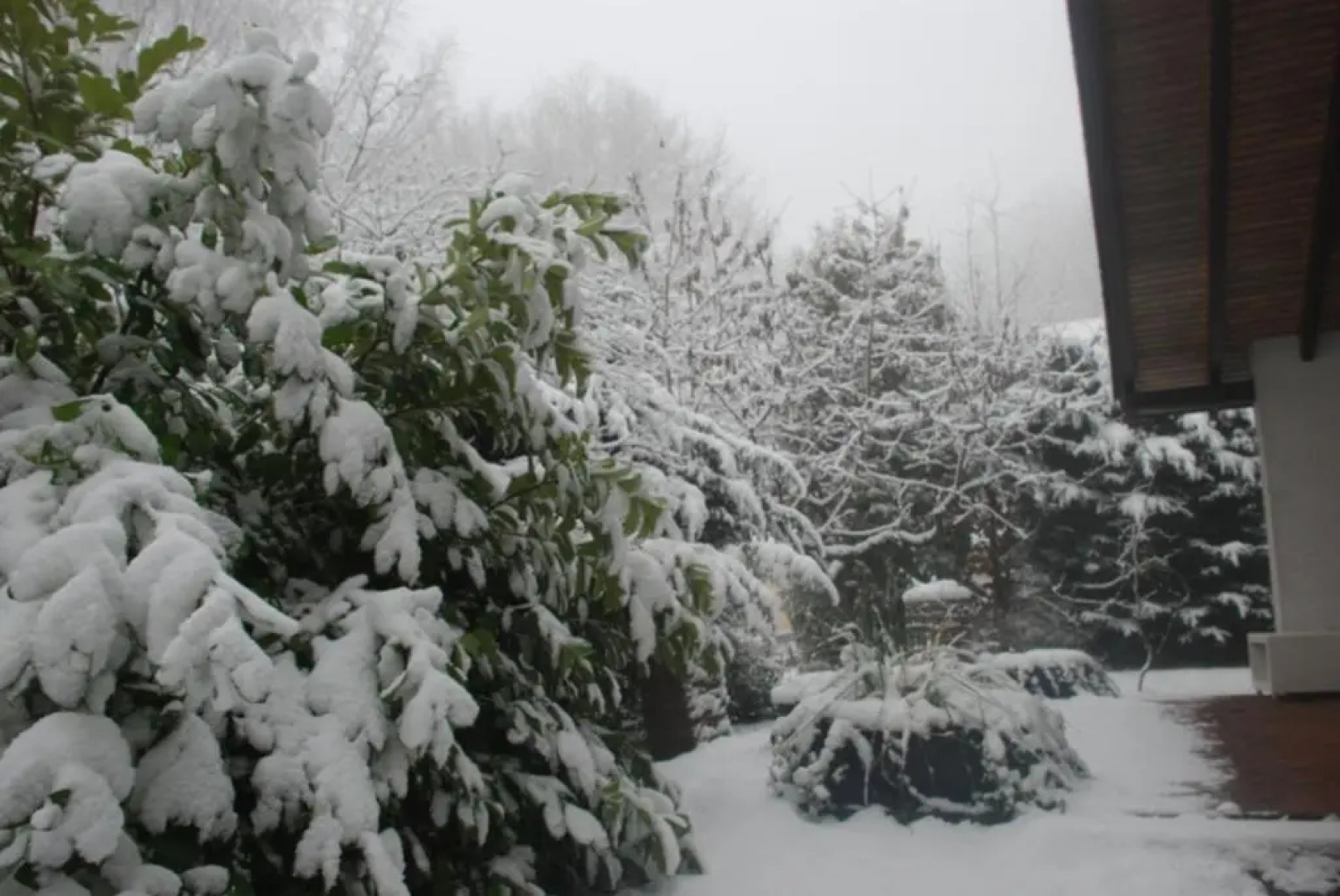 Stromberg III (80qm)